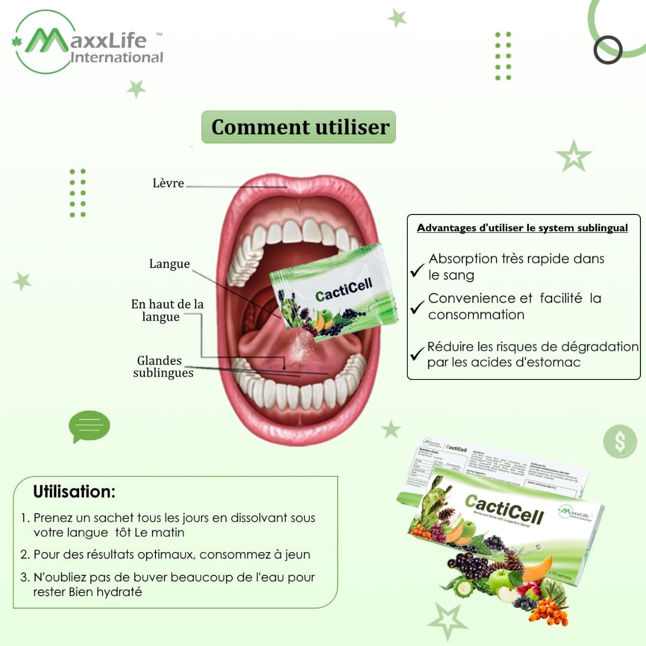 Cacticell — visuel 3